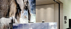 exhibition reception glass