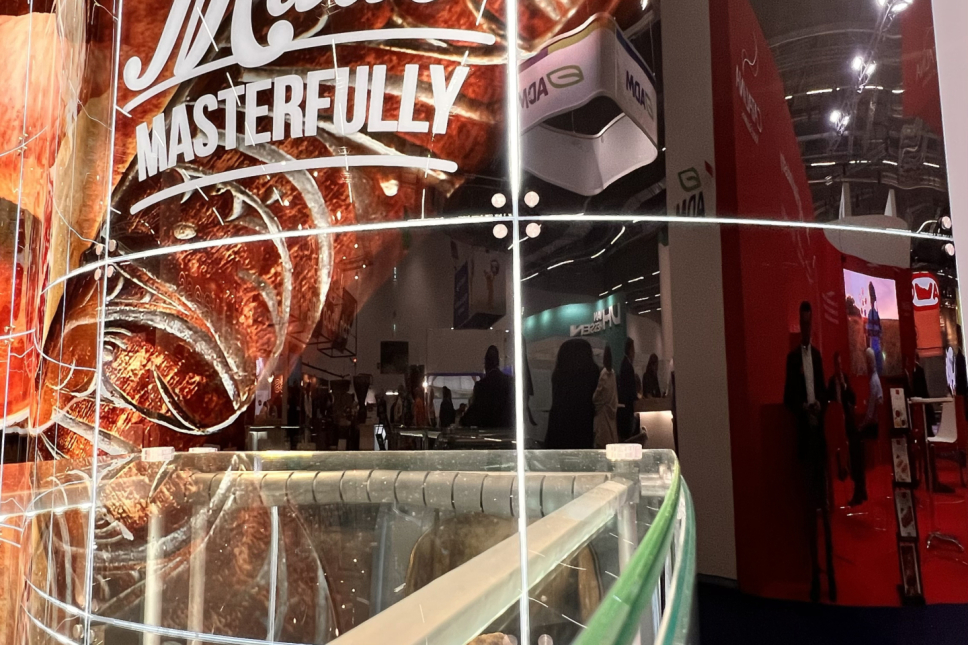 exhibition glass showcase